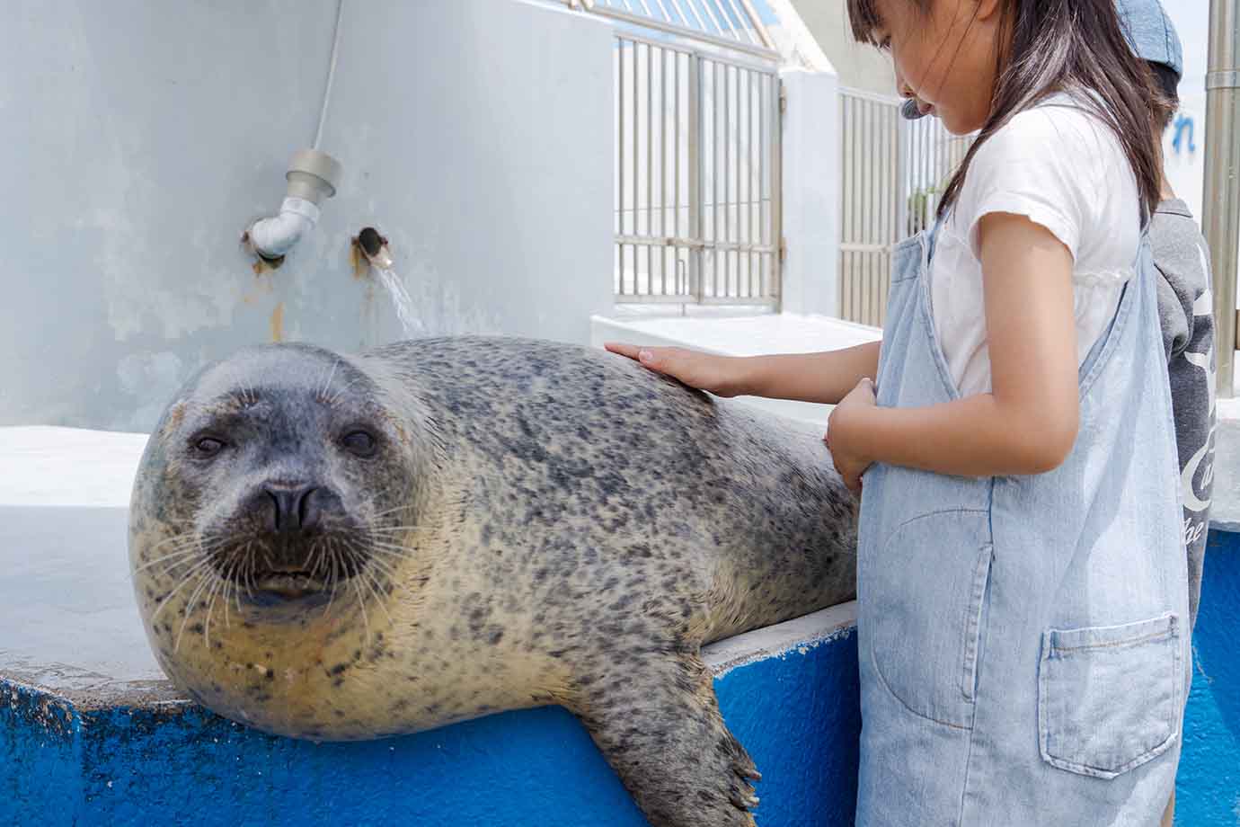 東海エリアでおすすめの水族館、1つ目は「南知多ビーチランド」です。