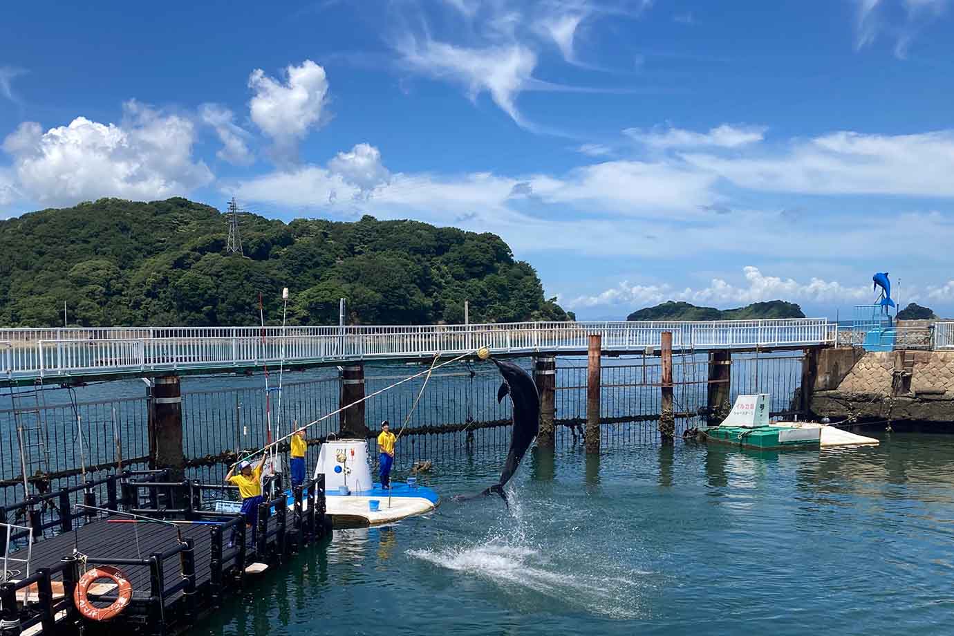 東海エリアでおすすめの水族館、4つ目は「鳥羽湾めぐりとイルカ島」。