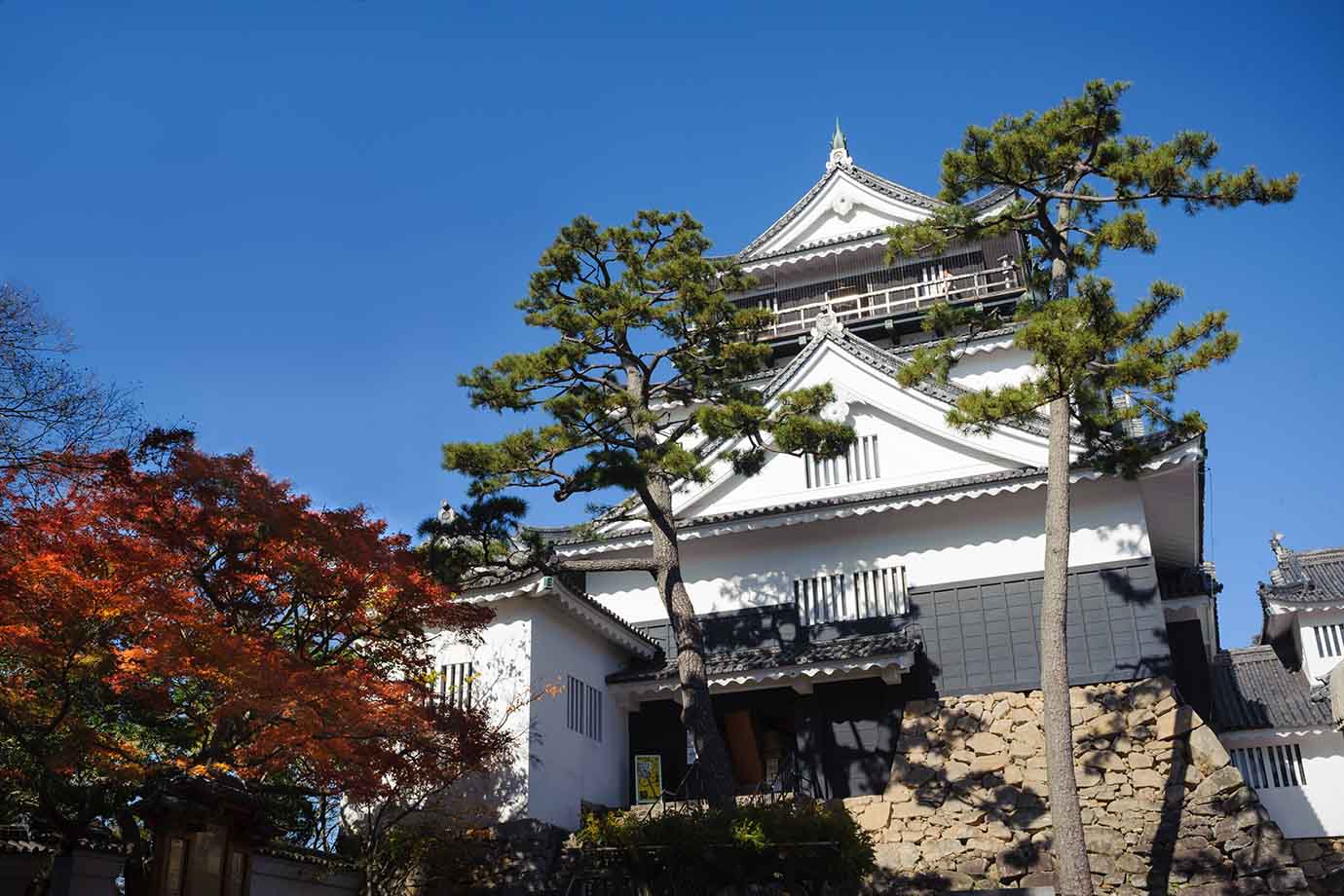 家康生誕の地！岡崎城・岡崎公園