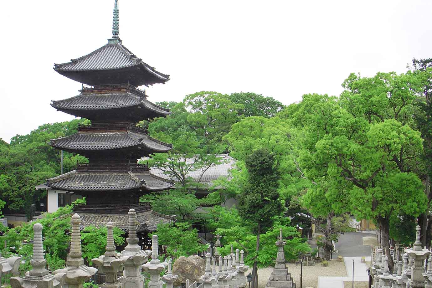 名古屋市昭和区にある八事興正寺は、1688年に創建された真言宗の寺院で、「尾張高野」と呼ばれ、古くから学問や修行の場として信仰を集めてきました。