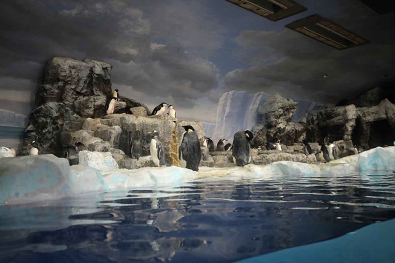 次にたどり着いた寒々しい雰囲気の「南極の海」には、ペンギンが群れをなしていました。