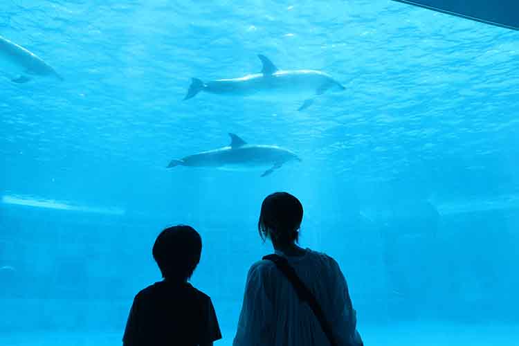 【名古屋港水族館】親子で１日楽しみつくす！　見どころを紹介